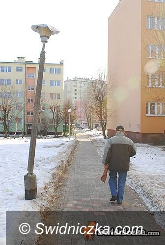 Świdnica: Lampa wycięta