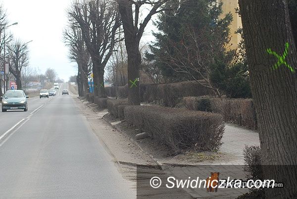 Świdnica: List otwarty radnych do prezydenta Wojciecha Murdzka