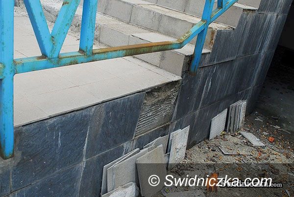 Świdnica: Grzyb w Latawcu