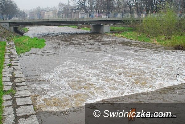 Świdnica: Bystrzyca wygląda groźnie