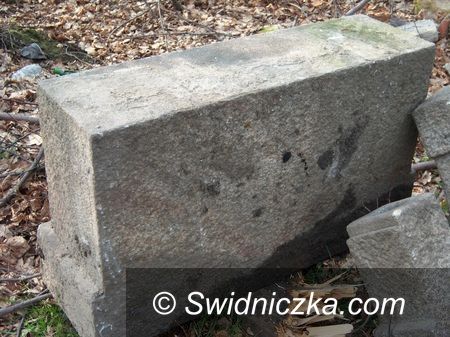 Żarów: Niemieckie nagrobki koło Żarowa