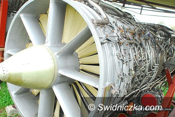 Świdnica: Amfibia już w muzeum w Witoszowie Dolnym