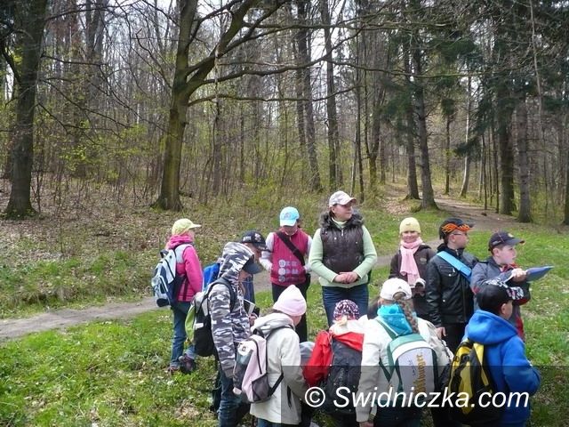 Region - Świebodzice: Tydzień ekologiczny w świebodzickiej dwójce