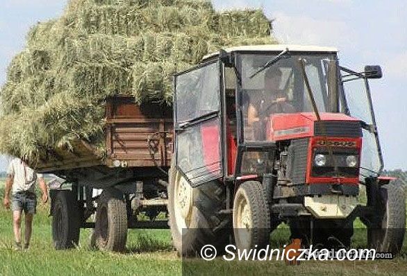 powiat świdnicki: Wnioski do późnego wieczora