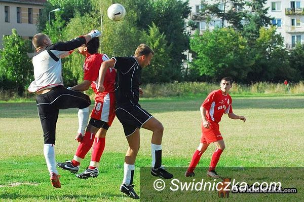 Ziębice: Festiwal nieskuteczności