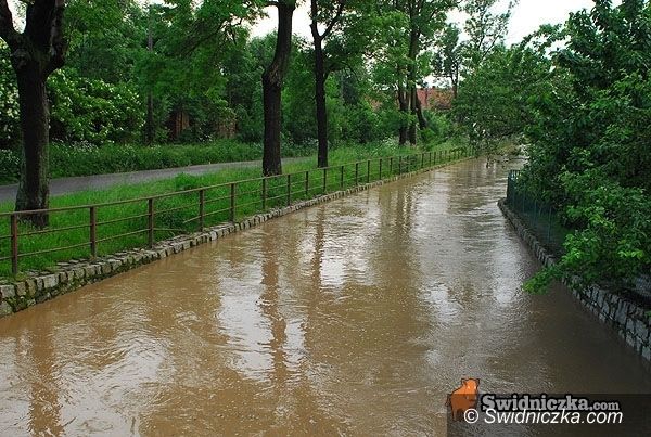 Dolny Śląsk: Rzeki się utrzymają w korytach?