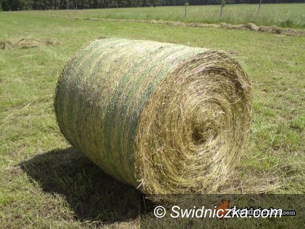 gmina Świdnica/Landzmierz: Dziesięć ton siana dla rolników z zalanych wsi
