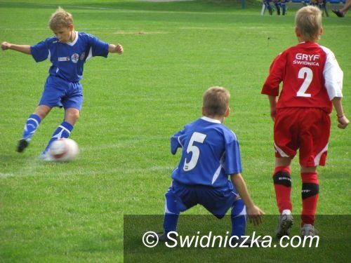 Świdnica: Znakomity turniej w wykonaniu świdnickich ekip