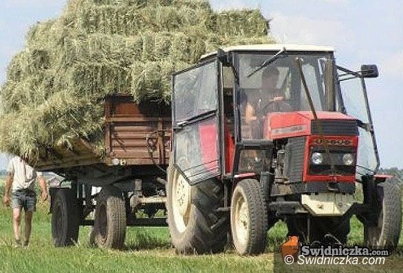Milikowice: Cztery miliony pójdą w glebę w Milikowicach
