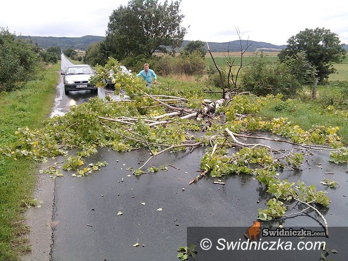 Witoszów Dolny/Bystrzyca Dolna: Chcesz przejechać? Posprzątaj sobie drogę