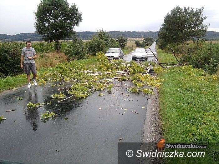 powiat świdnicki: To był dzień&#8230; – podsumowanie soboty
