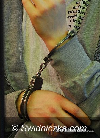 Świdnica: Pięciu mężczyzn napadło na kobietę