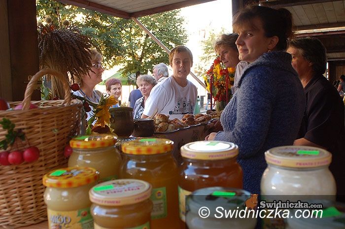 Świdnica: Sprawdź smak zdrowia