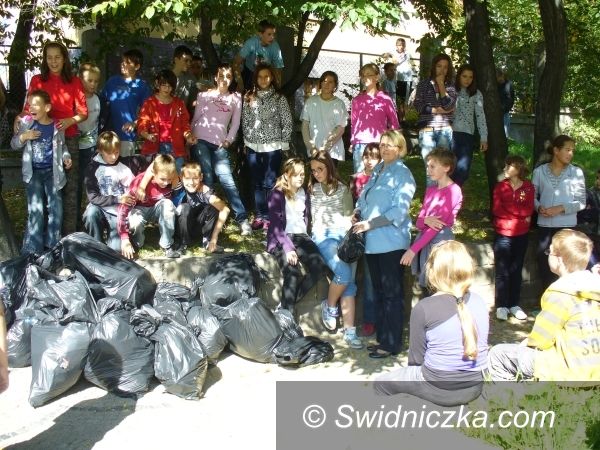 Świdnica: Sprzątanie świata na 105