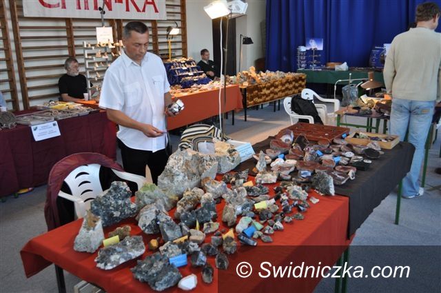 Strzegom: Zbiory minerałów z całego świata