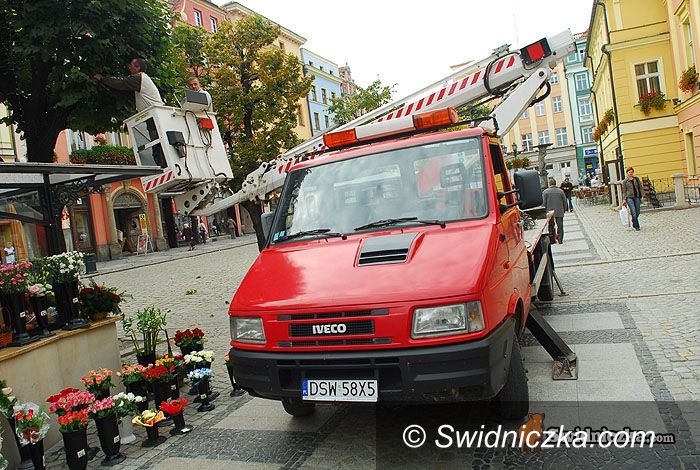 Świdnica: Świąteczne lampki na drzewach w Rynku