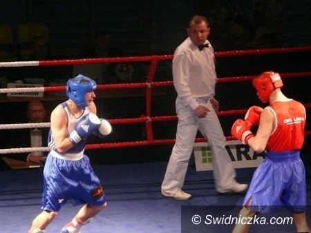 Świdnica: Świdnica opanowana przez bokserów