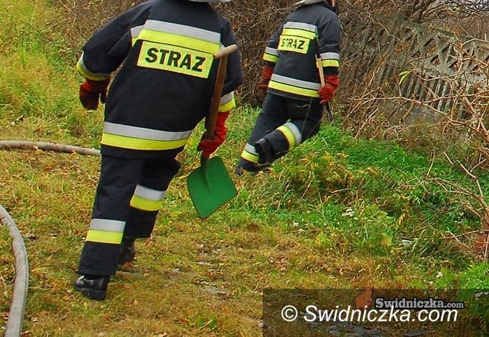 powiat świdnicki: To był dzień... – podsumowanie piątku