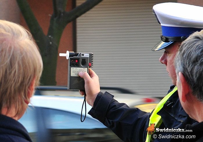 Strzegom/Jaroszów: Wypadek na trasie Strzegom–Jaroszów, kierowca pijany
