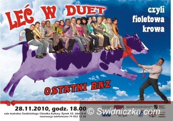 Świdnica: Ostatni lot krowy w fiolecie