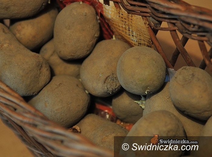 powiat świdnicki: To był dzień... – podsumowanie piątku