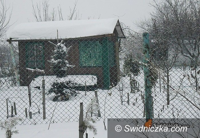 Strzegom: Kolejny mężczyzna zamarzł w altance