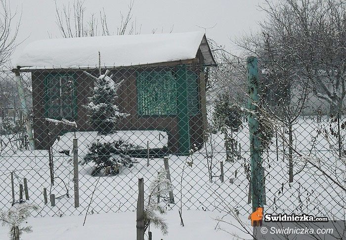 Strzegom: Kolejny mężczyzna zamarzł w altance
