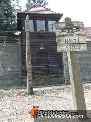 Rogoźnica/Wrocław/Oświęcim: Gross–Rosen gościło w Auschwitz