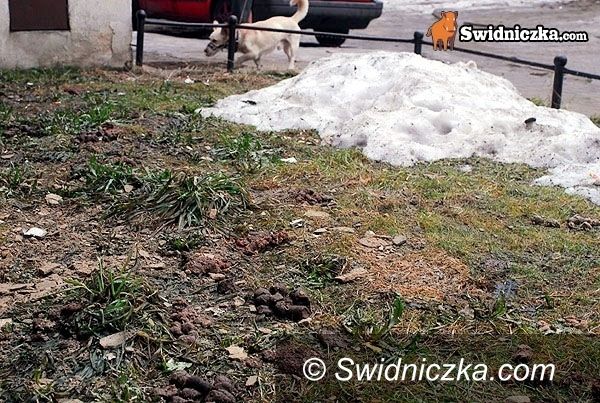region: I zacznie się wszystko topić