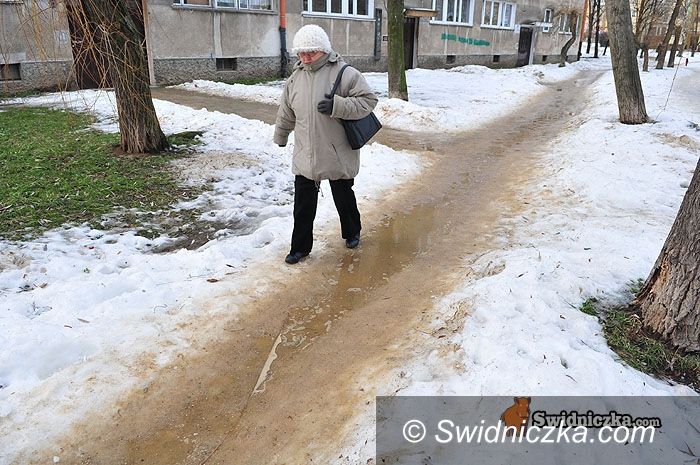 Świdnica: Lód pod nogami
