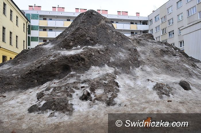 Świdnica: Góra w centrum miasta