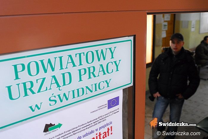 Świdnica: Poznaj siebie i napisz idealne CV