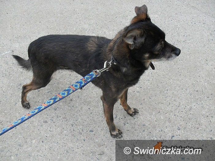 powiat świdnicki: To był dzień... – podsumowanie wtorku