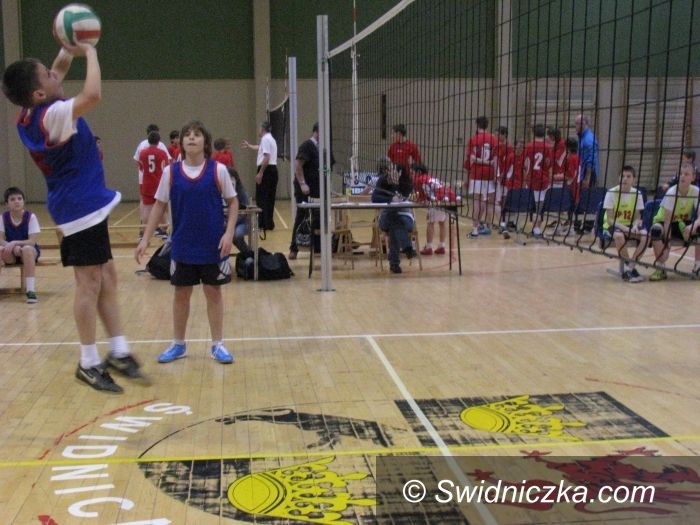 Świdnica: Dominacja SP 1 w turniejach mini siatkówki