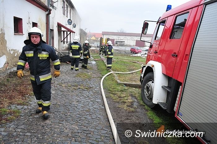 Rogoźnica: Strażacy z dwóch powiatów gasili bliźniaka