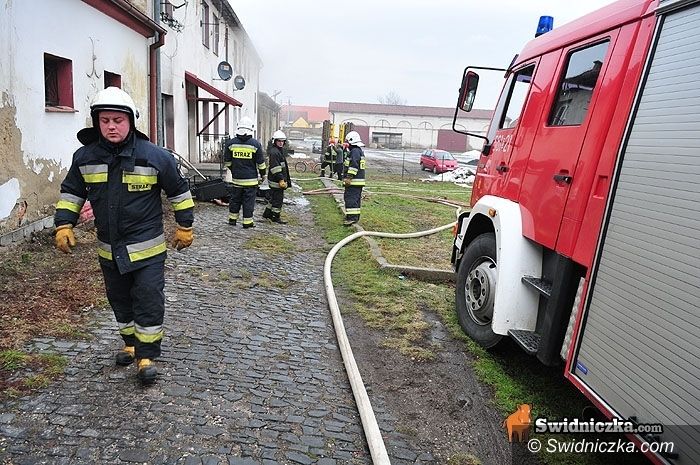 Rogoźnica: Strażacy z dwóch powiatów gasili bliźniaka