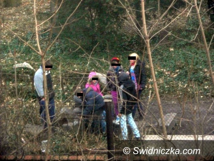 Świdnica: Co naprawdę dzieje się na ewangelickim cmentarzu – zobacz zdjęcia z libacji młodzieży