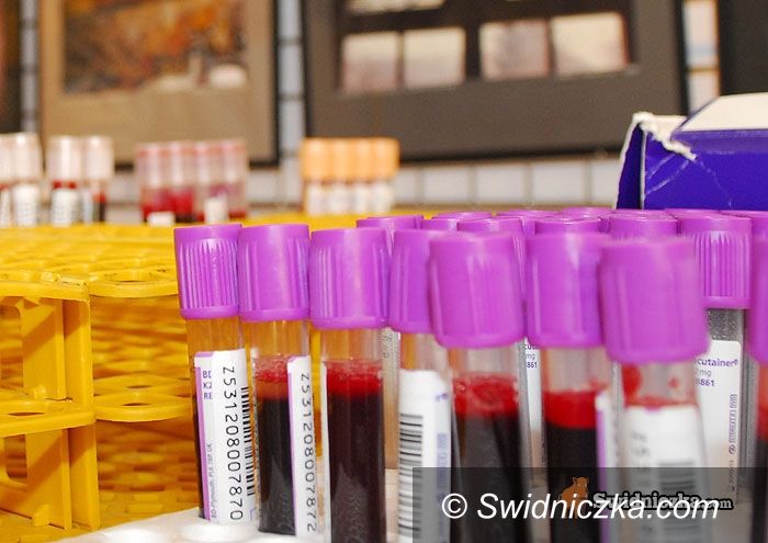 Świdnica: Laboratorium mikrobiologiczne Latawca pod lupą