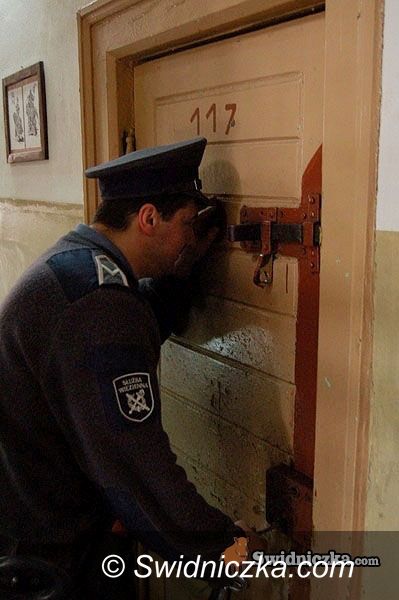 Świdnica/Świebodzice: Mieszkał w altance, okradał nieświadomych gospodarzy i ich sąsiadów