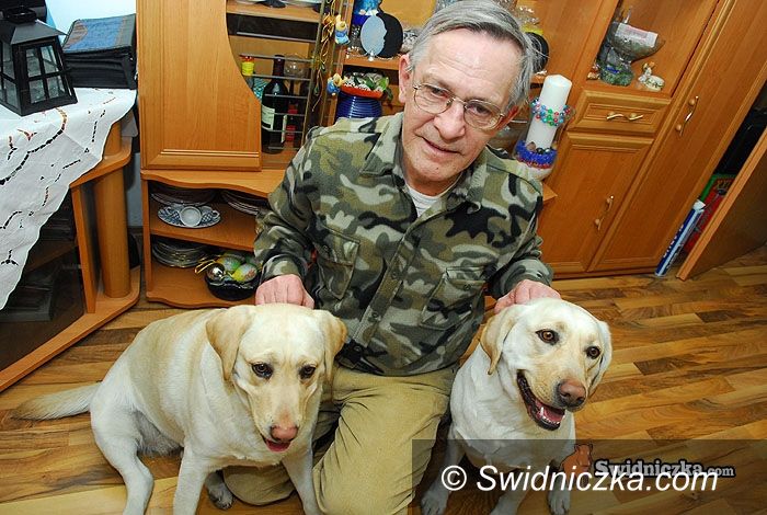 Świdnica: Oczy na czterech łapach