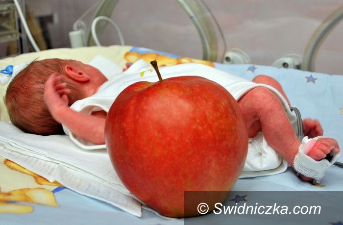 Świdnica: Statystycznie nas przybywa, choć niektórzy dojrzewają daleko stąd