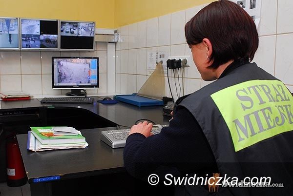 Świdnica: Mandat za mycie samochodu