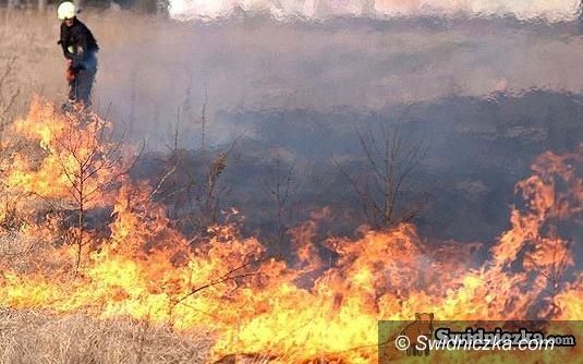 Świdnica: Wiosna idzie, płoną trawy, a strażacy apelują o rozsądek