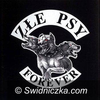 Świdnica: Złe Psy Andrzeja Nowaka zagrają w Świdnicy