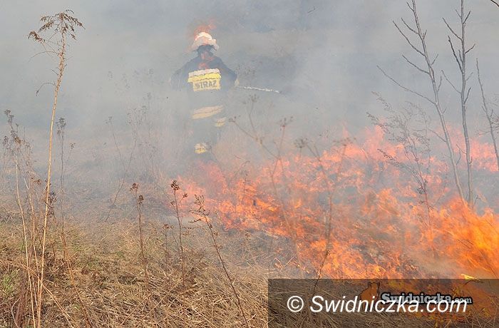 Świdnica: O krok od tragedii – przez głupotę wypalaczy traw