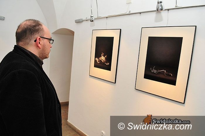 Świdnica: Czwarty wymiar w Świdnicy