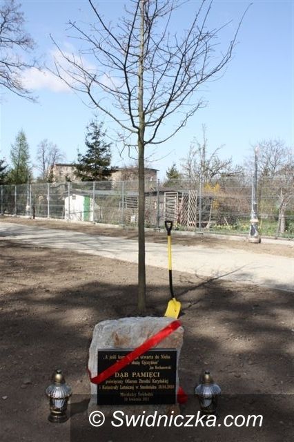 Świebodzice: Rocznica w Świebodzicach: dąb oraz pamiątkowa tablica
