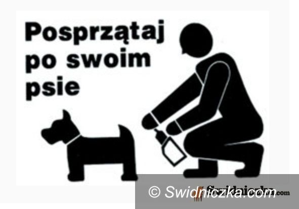 Świebodzice: Świebodziczanie będą sprzątać odchody?