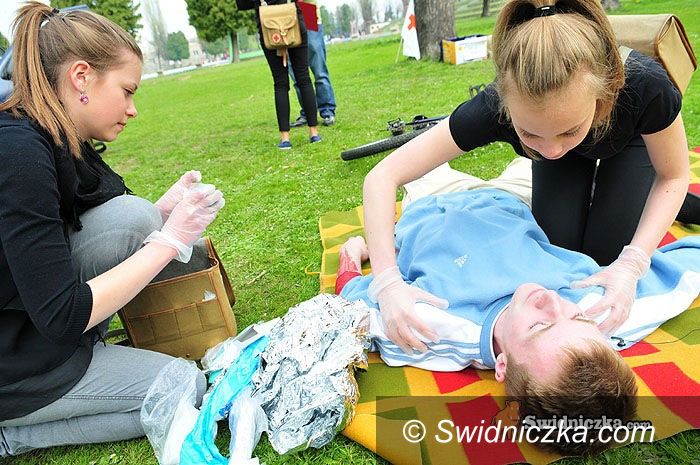 Świdnica: Pomoc pilnie potrzebna!