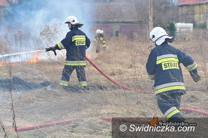 Świdnica/Dolny Śląsk: Środa w Świdnicy i w okolicy – wypadek autobusu i inne newsy